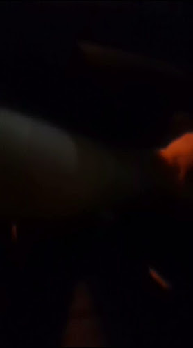 Marina Bay Seafood Restaurant - Gastronomi dan perhotelan