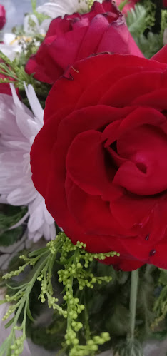 Btc Maju Holding Sdn.Bhd. - Inanam