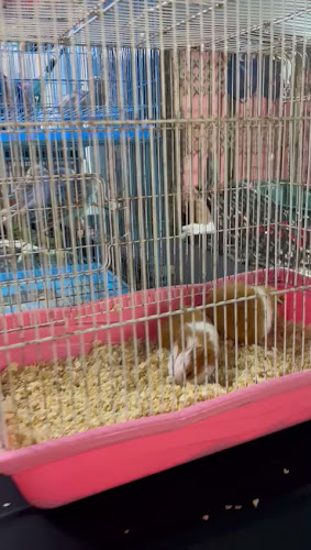 Pasar Karat • Bazar JB - Gastronomi dan perhotelan