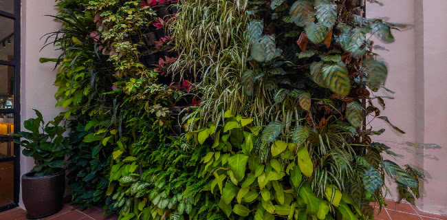 Comentarii opinii despre Me'nate Penang