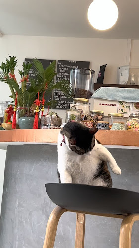 43a, SS2/30, SS 2, 47300 Petaling Jaya, Selangor