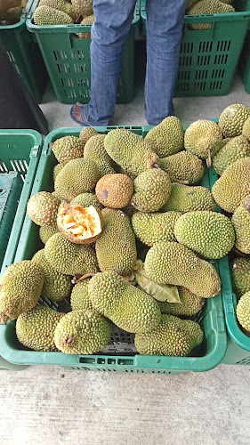 Fruit Master Durian - Kluang