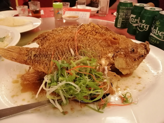 Comentarii opinii despre Rainbow Seafood Restaurant