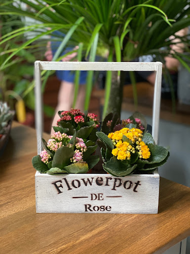 43a, SS2/30, SS 2, 47300 Petaling Jaya, Selangor