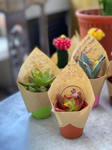 Opinii despre Taman Hati Studio & Cafe în Petaling Jaya - Gastronomi dan perhotelan