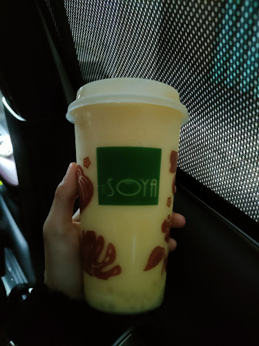 Comentarii opinii despre The Maneh