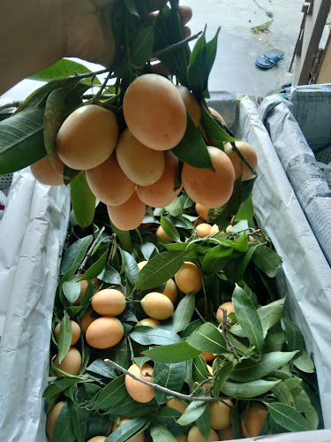 Ima Rojak buah - Gastronomi dan perhotelan