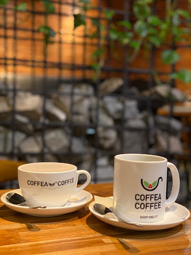 A-10, Jalan SS 15/4d, Ss 15, 47500 Subang Jaya, Selangor