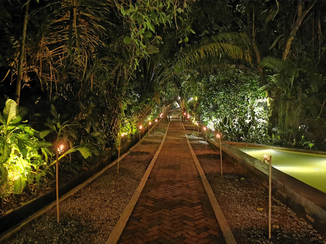 Tamarind Springs - Gastronomi dan perhotelan