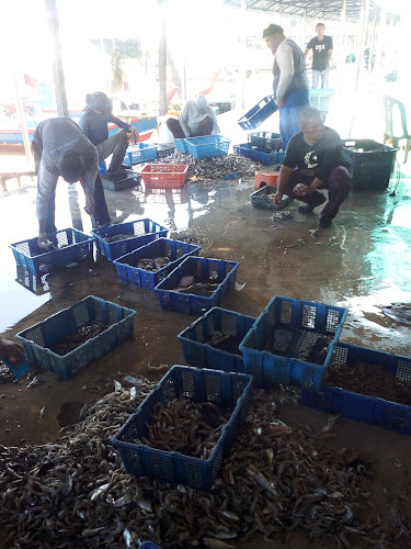 Opinii despre Seafood Market (Jeti Ikan Pengkalan Baru) ) în Pantai Remis - Gastronomi dan perhotelan
