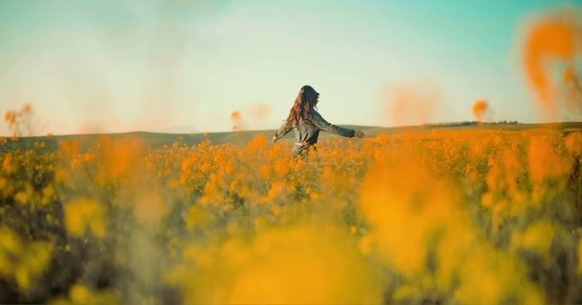 dwp Bar KL 地酒品 ( 酒吧專賣店) - Gastronomi dan perhotelan