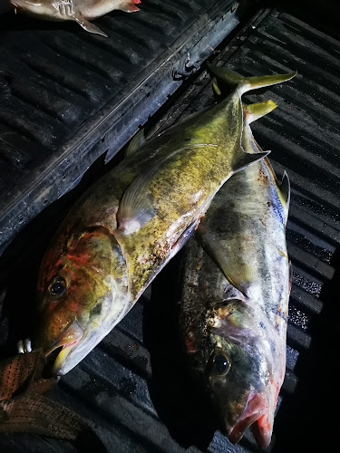 53, Jalan Bkt Lima, Pekan Sibu, 96000 Sibu, Sarawak