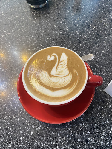 Chef’s Catch Restaurant - Best Shell Out In Town