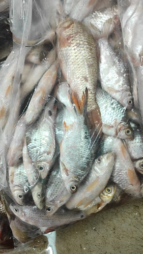 Restoran M Hafiz Tomyam Poktek - Tanjung Tualang
