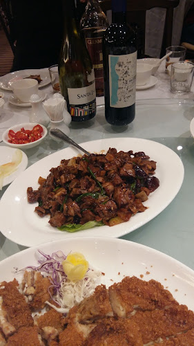 Comentarii opinii despre Dynasty Chinese Restaurant