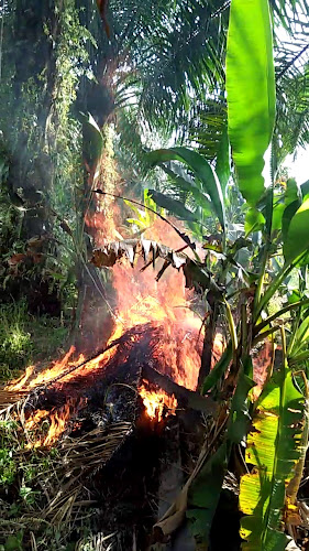 Opinii despre Gerai Non Bihun Sup în Bagan Serai - Gastronomi dan perhotelan