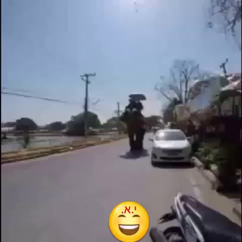 Comentarii opinii despre Lotus Coffee Shop