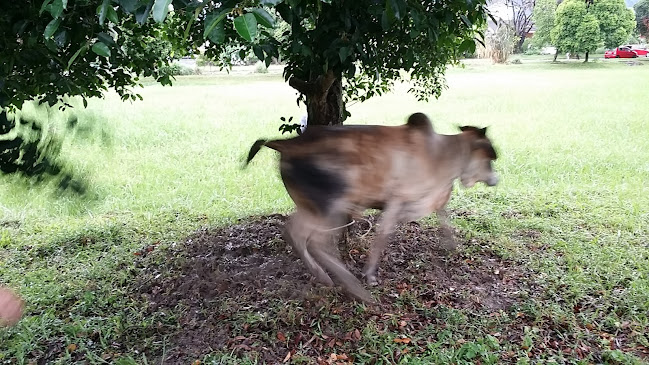Kedai Botak - Taiping