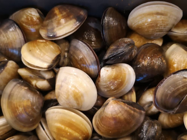 Sri Acappella, 1, Jalan Lompat Tinggi 13/33, Seksyen 13, 40100 Shah Alam, Selangor