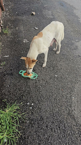 Opinii despre RESTORAN KARI KEPALA IKAN DEEN în Kampung Kepayang - Gastronomi dan perhotelan