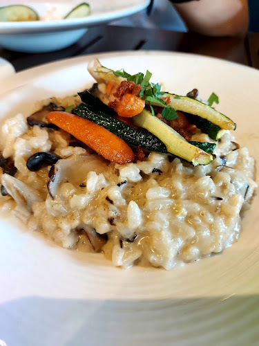 Comentarii opinii despre Roots Mount Austin (Relocating, To be announced)