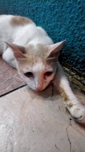 Restoran Iskandar Corner