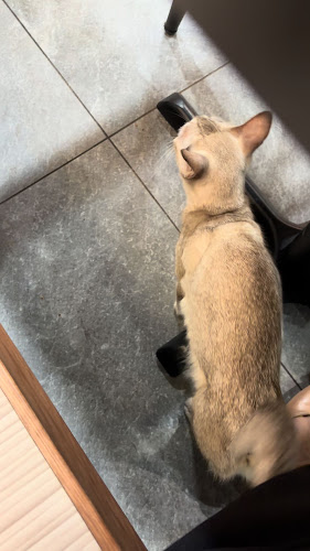 Opinii despre Marrybrown Alor Gajah în Alor Gajah - Gastronomi dan perhotelan