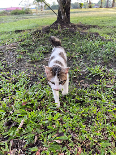 Opinii despre Permai lake garden în Sibu - Gastronomi dan perhotelan