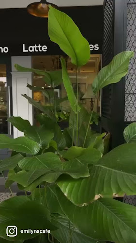 Comentarii opinii despre Emilyns & Cafe