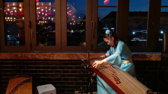 Comentarii opinii despre Zoorassic