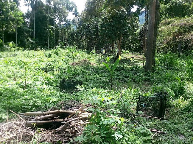 Restoran BJM MAJU - Padang Rengas
