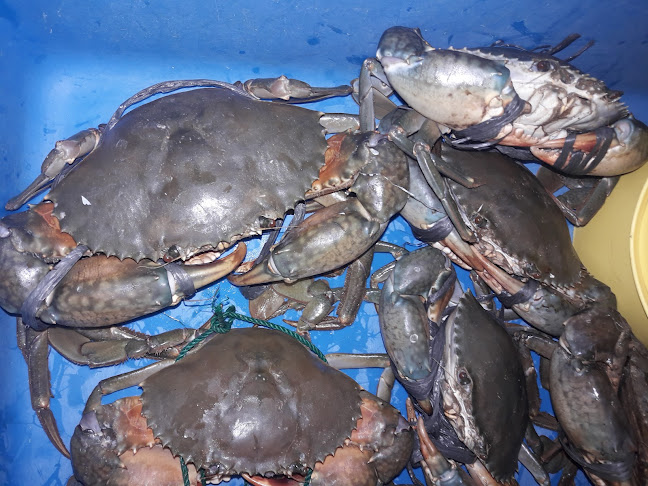 32 34, Lorong Lang, Taman Berkeley, 41150 Klang, Selangor