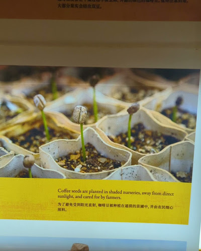 Comentarii opinii despre OldTown White Coffee Experience Centre