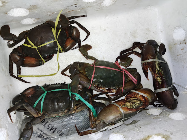 坏人の店BadMan - Gastronomi dan perhotelan