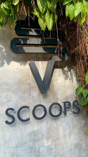 Comentarii opinii despre Scoops