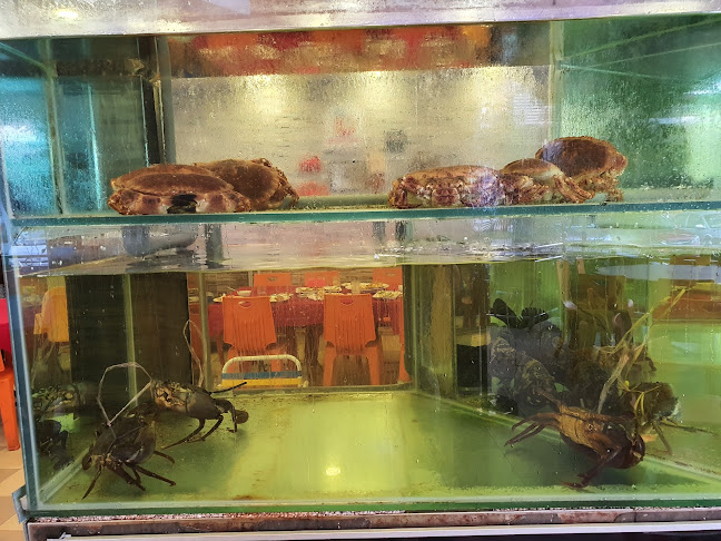 Ibrahim's Fatty Crab