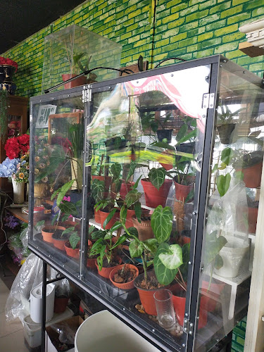 Kedai Kopi OSHIN - Klang