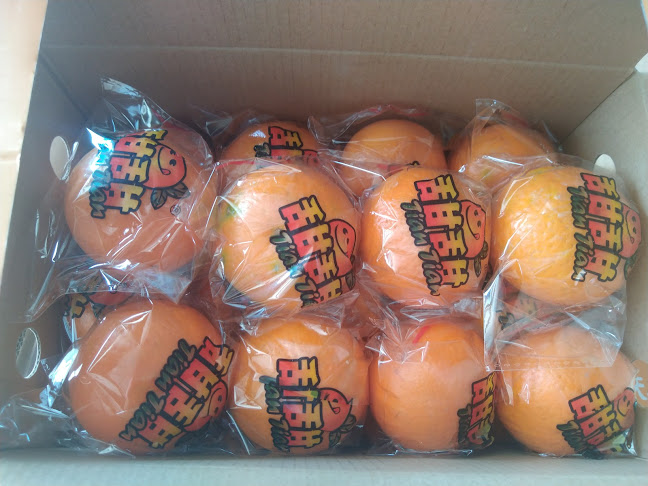 Garden Basket Fruits Store - George Town