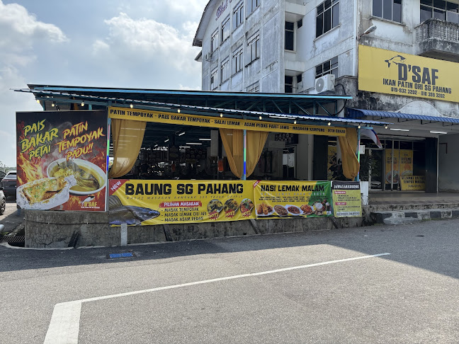 D'SAF Patin Tempoyak Ori Sg Pahang Di Melaka