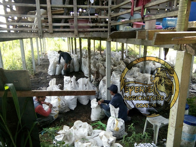 Aqiqah & Katering Resepi Original Golek (ROG) - Gastronomi dan perhotelan