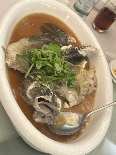 Opinii despre Hao Xiang Chi Seafood | Centro Klang în Klang - Gastronomi dan perhotelan