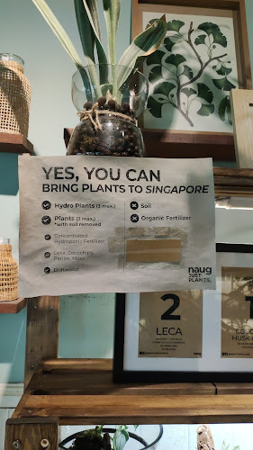 Opinii despre Naug Cafe (Naug Just Plants’ backyard) în Johor Bahru - Gastronomi dan perhotelan