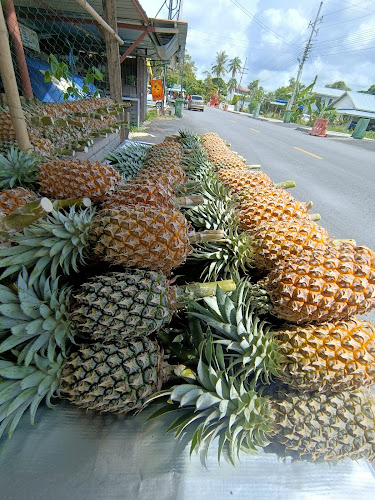 Comentarii opinii despre D"GERAI79 ABGMAN