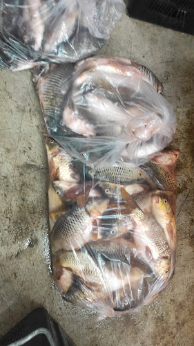 Restoran M Hafiz Tomyam Poktek - Gastronomi dan perhotelan