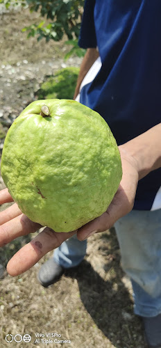 31A, Jln Semarak Api, Kampung Tersusun Dato Seri Kamaruddin, 32200 Seri Manjung, Perak