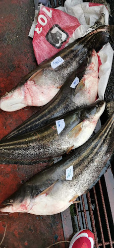 Comentarii opinii despre Restoran Makanan Laut Bulatan B5