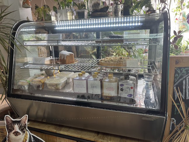 Comentarii opinii despre Taman Hati Studio & Cafe