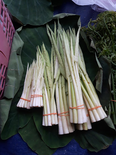 Pasar Bunga Cengkih - Kuala Lipis