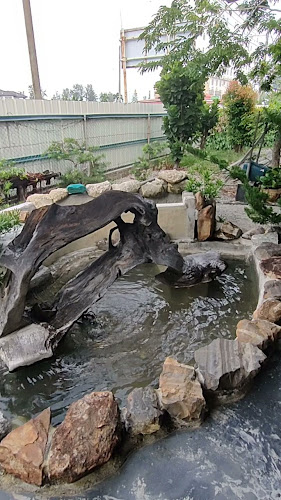 Olive Baker - Melaka