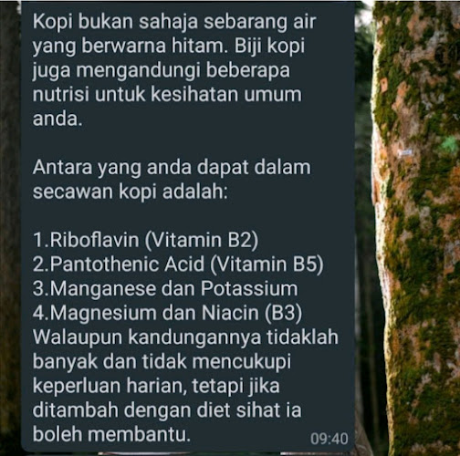 Opinii despre Kopi Amiexa (ejen Dungun) în Kuala Dungun - Gastronomi dan perhotelan